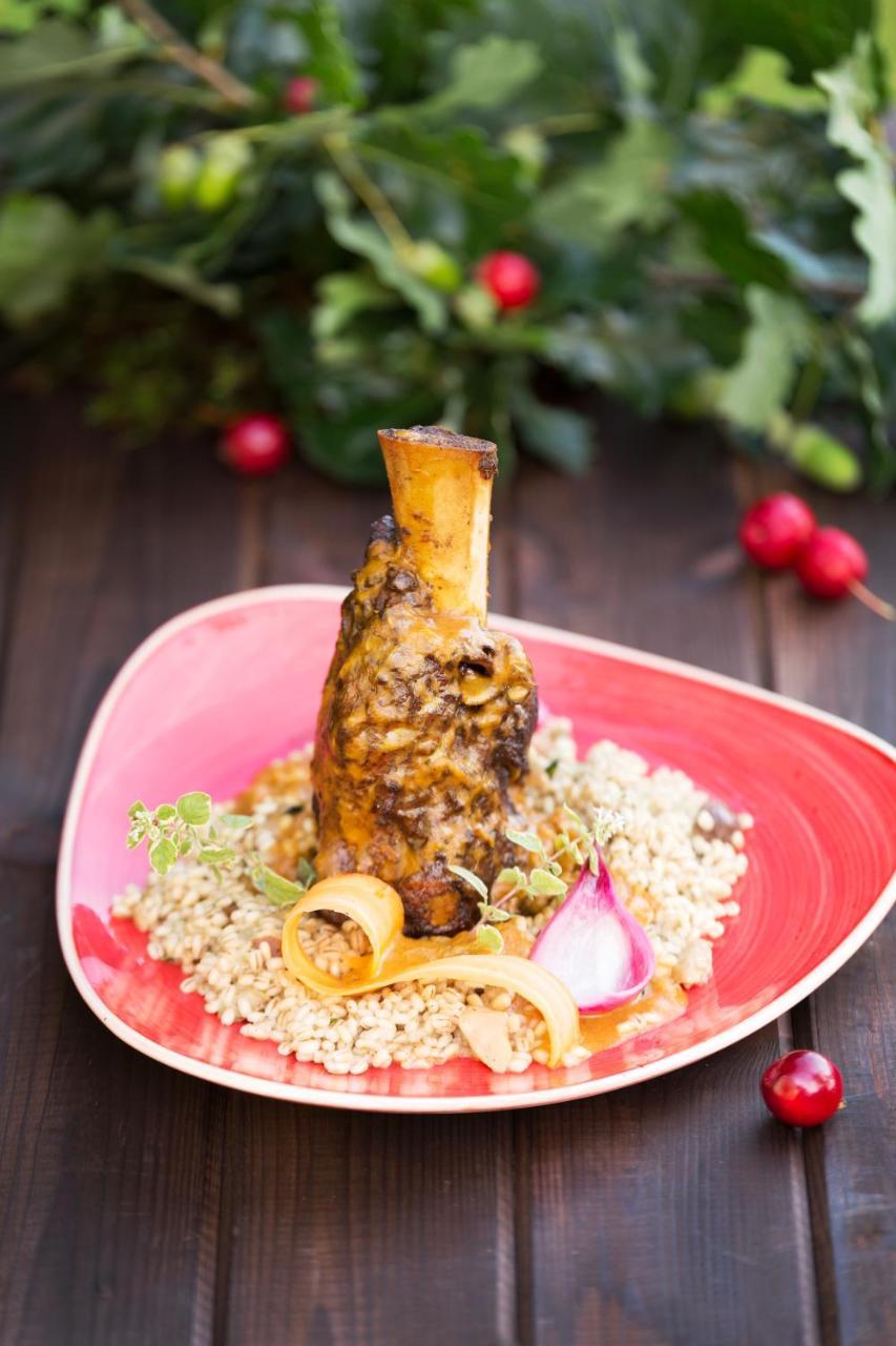 Rudzinitz Lesna Perla - Restauracja I Pokoje Hotelowe المظهر الخارجي الصورة